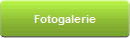 Fotogalerie